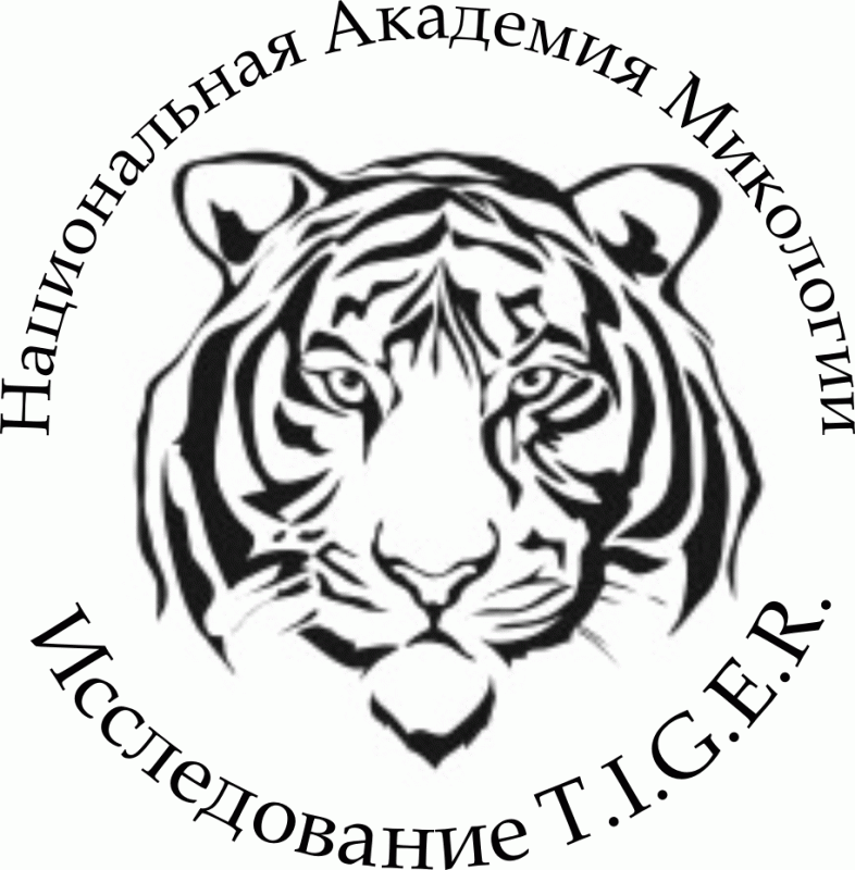 Проект TIGER