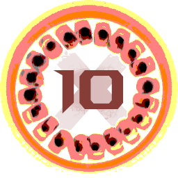 Десятый Всероссийский конгресс по дерматоскопии