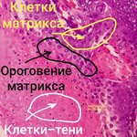 20191122_230814.jpg