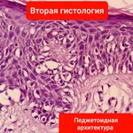 20200710_162817.jpg