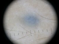 DSCN4660.JPG